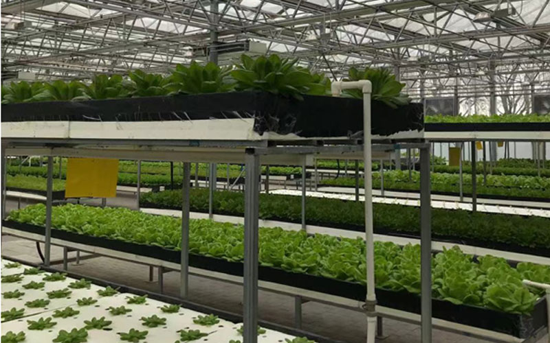 TG反波胆·(中国区)官方网站